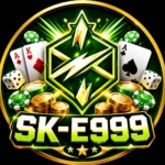 SK-E999 Game APK Download Earn Real Money in Pakistan (2026)