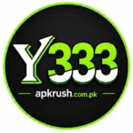 Y333 Game – Complete Guide for Pakistani Players (2026)
